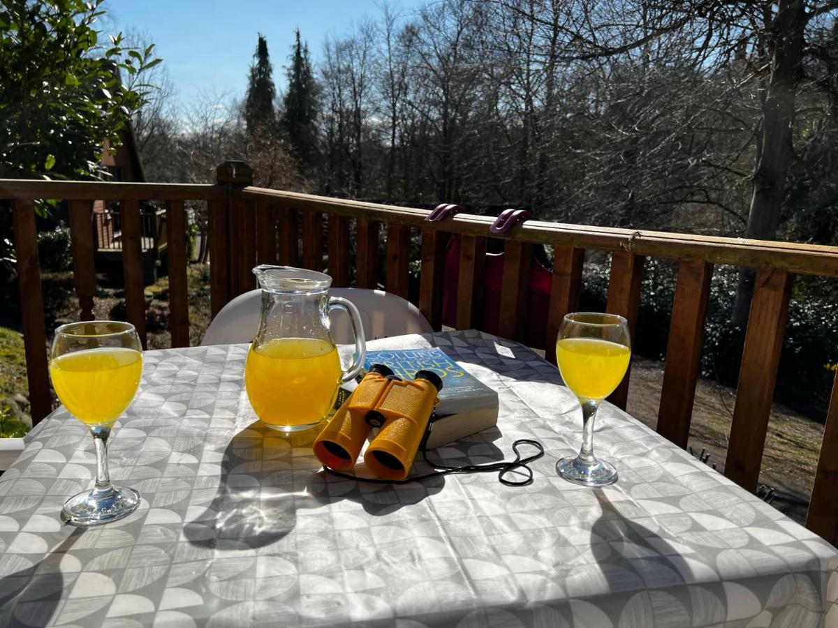 Ericht Holiday Lodges Blairgowrie and Rattray Exteriör bild